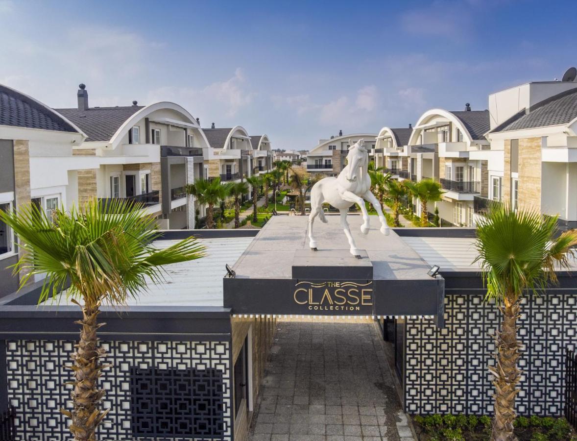The Classe Collection *