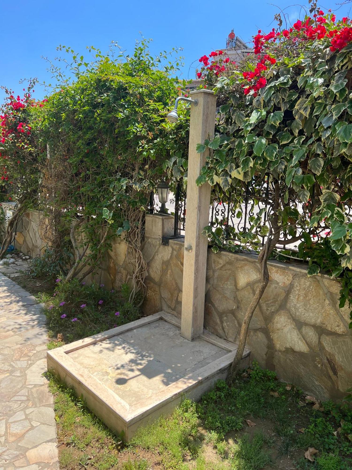 Apartament Medusa *