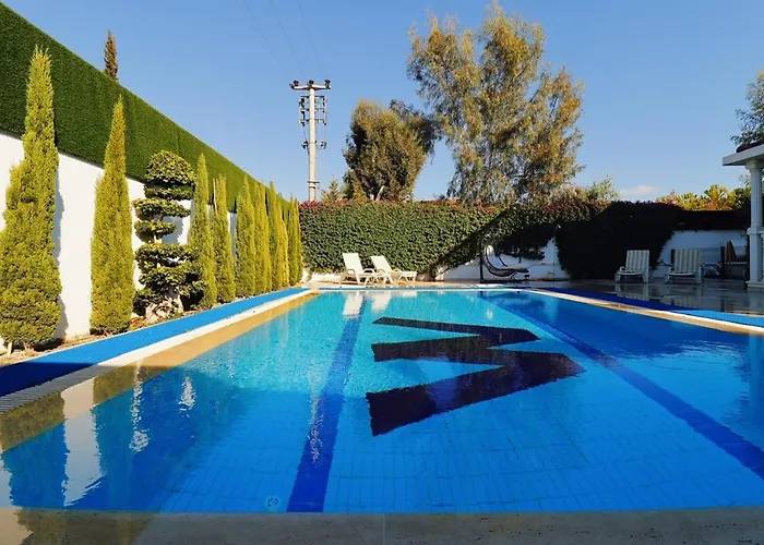 Wiseman Villa