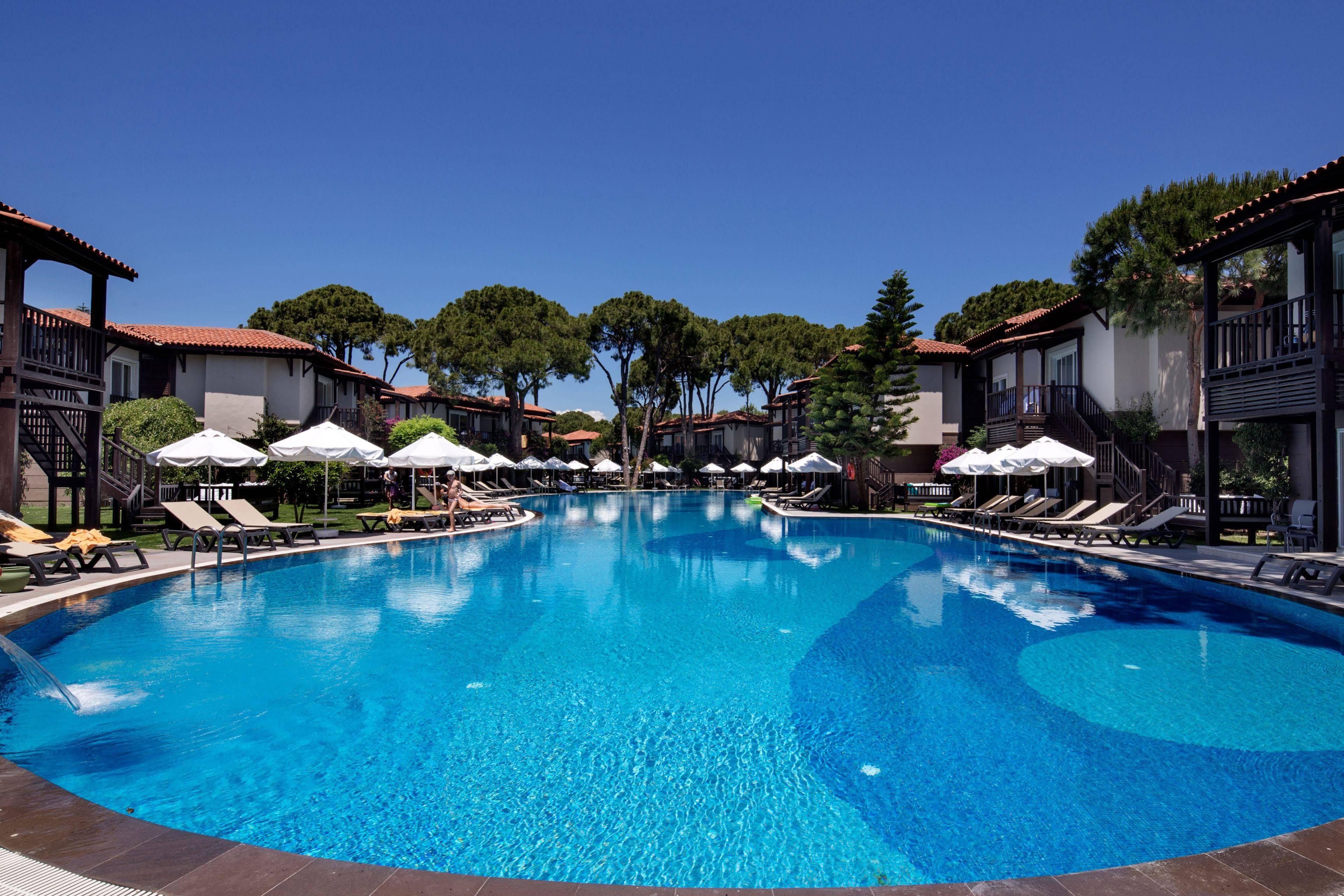Papillon Ayscha & Belek