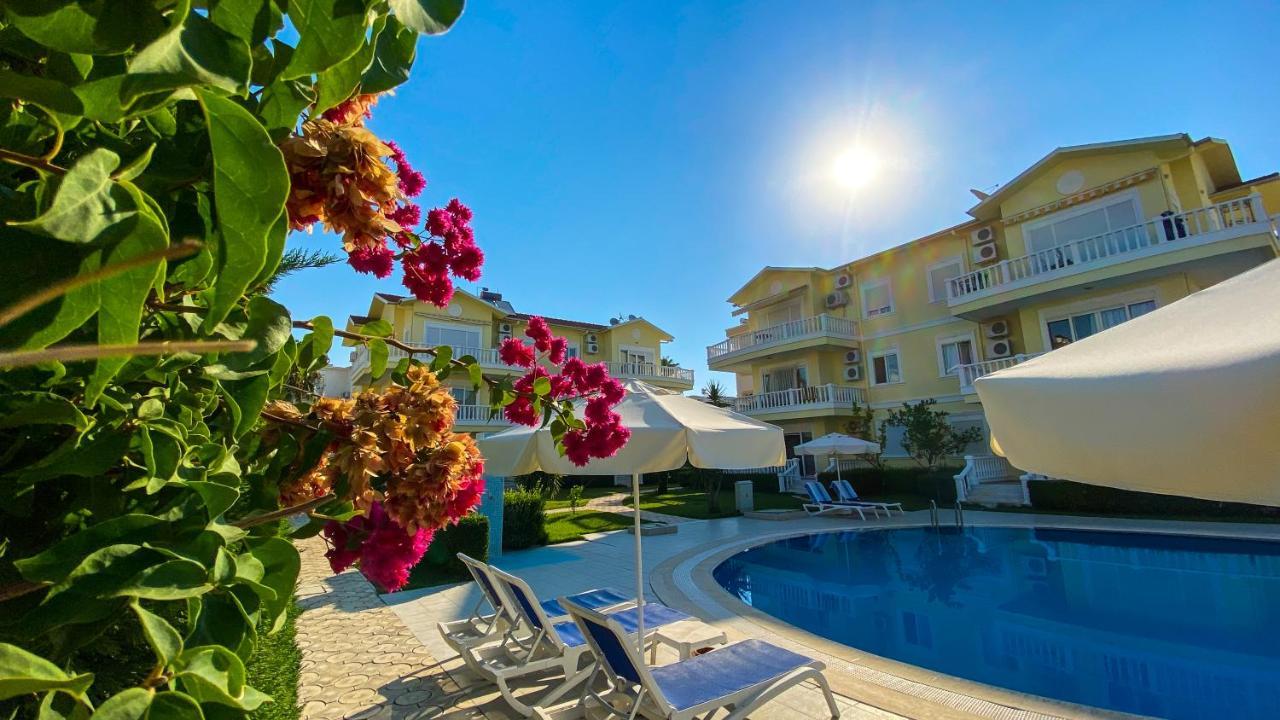 King Cleodora * Belek
