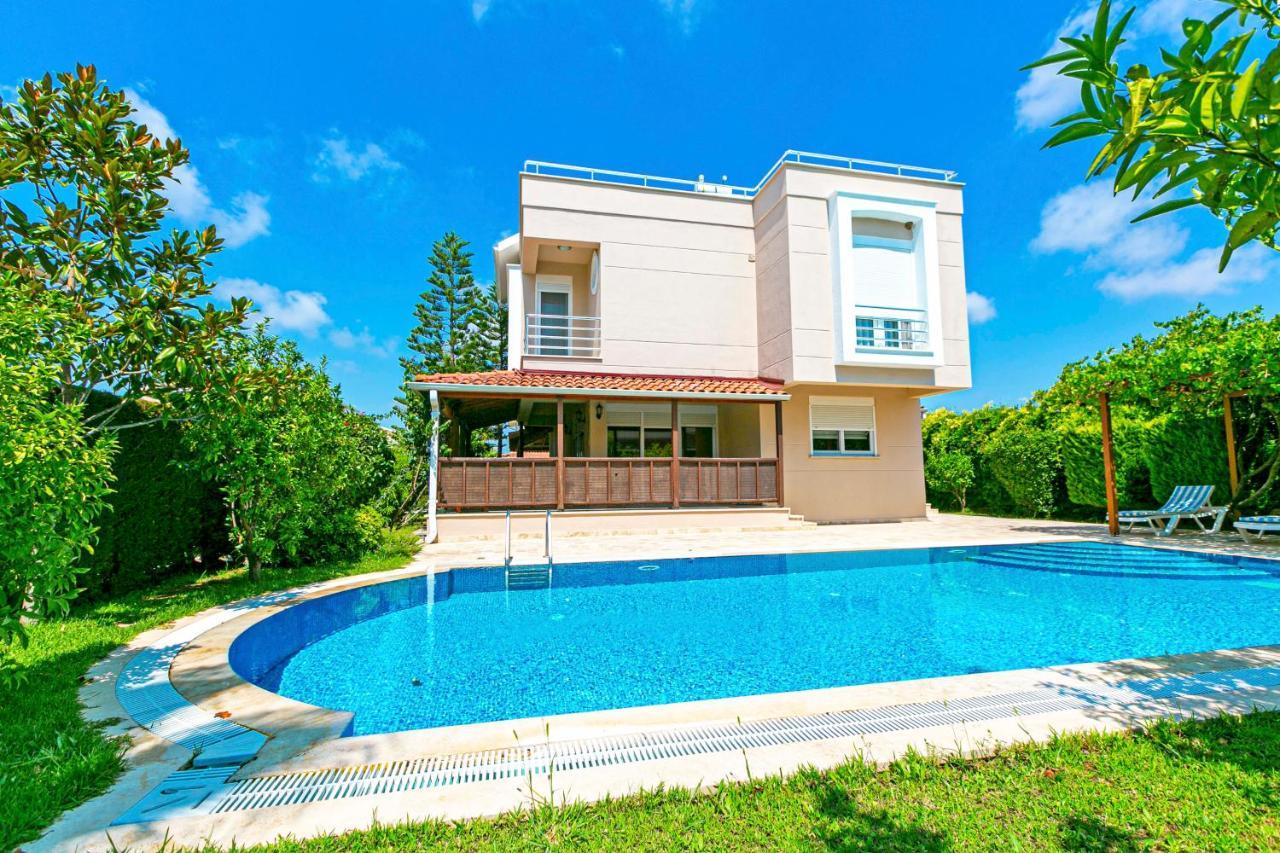 Paradise Town Royal Villa *
