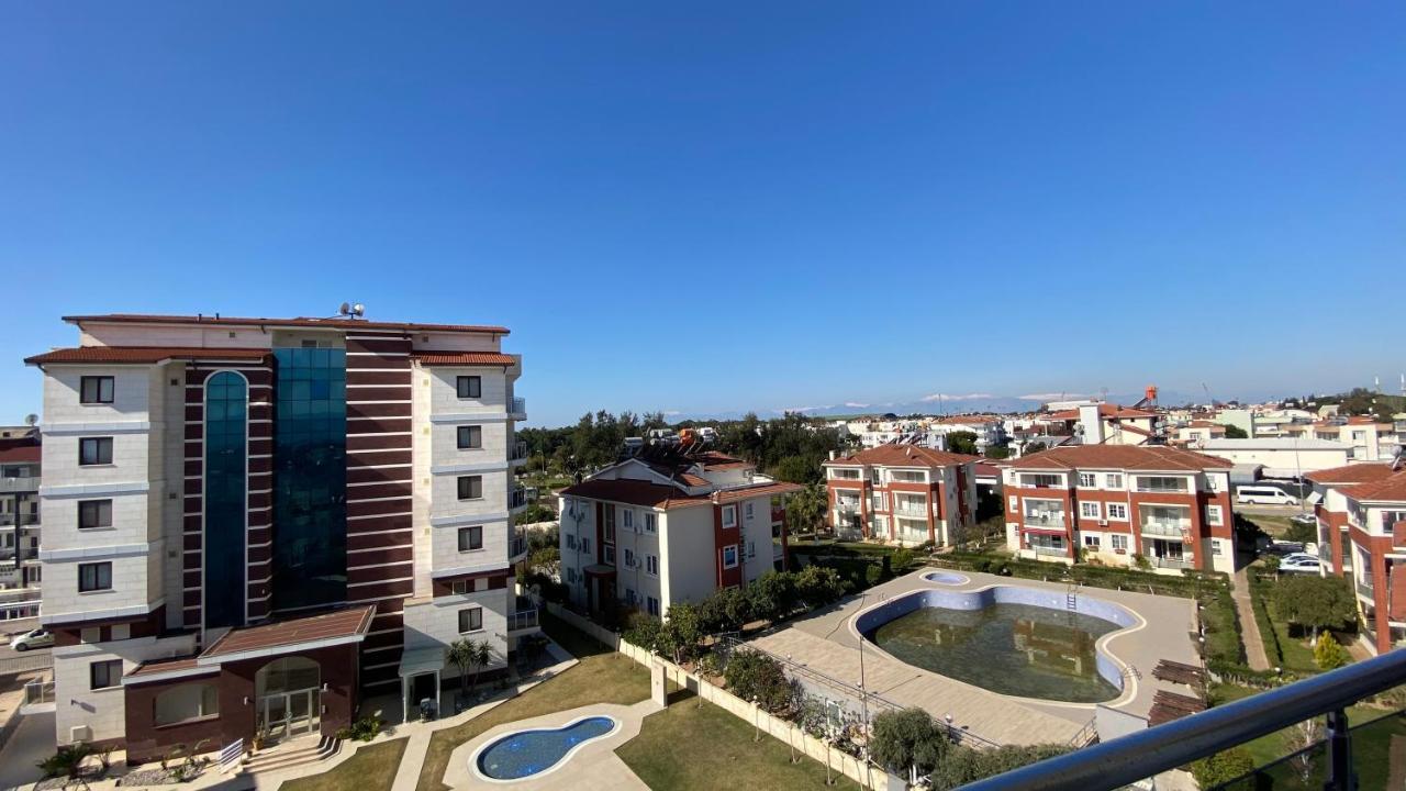 Odyssey Court