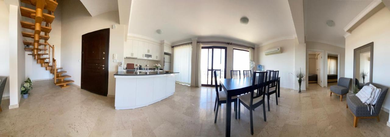 Odyssey Court Daire