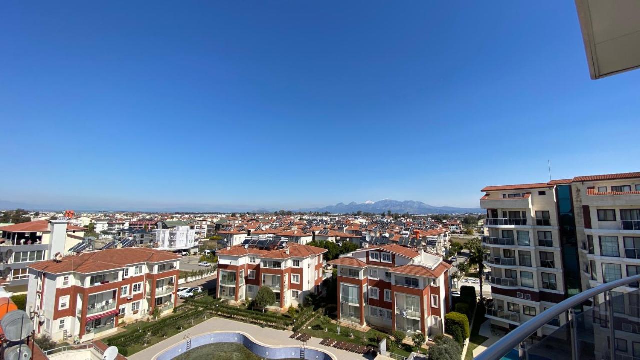 Odyssey Court Daire