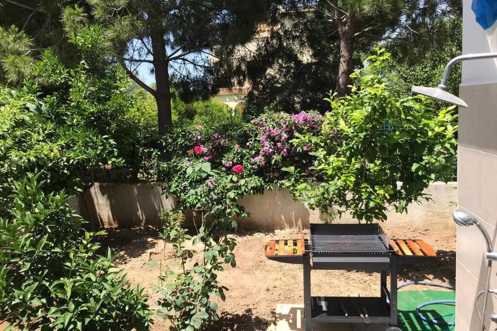 Antalya/belek Lux *