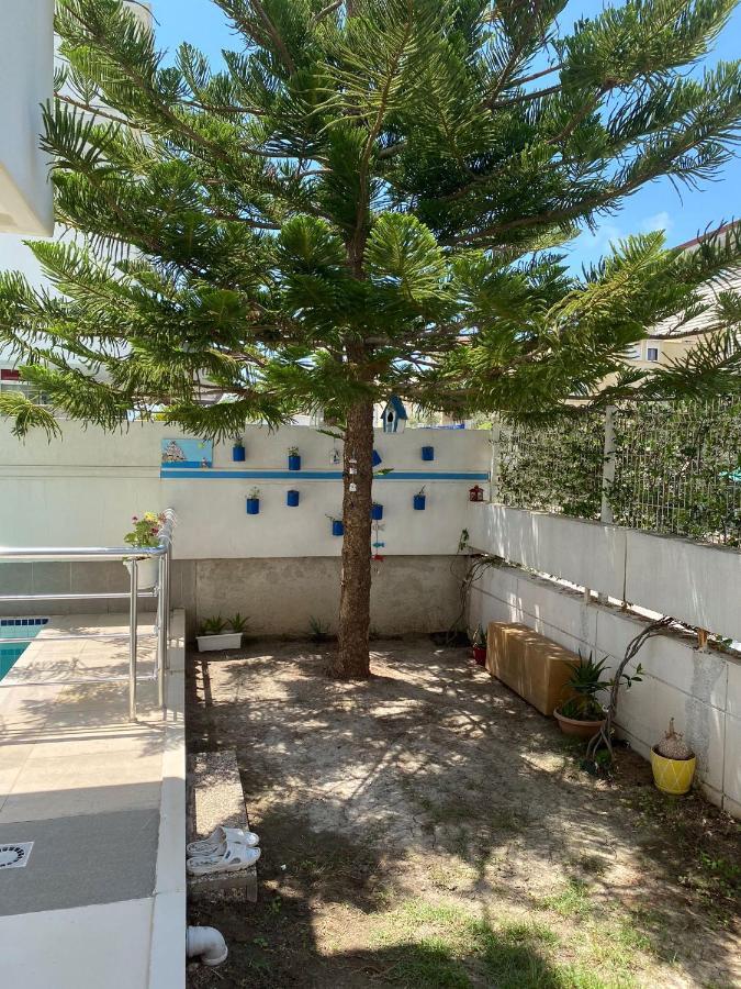 Atlas With 3 Bedrooms And Private Pool
