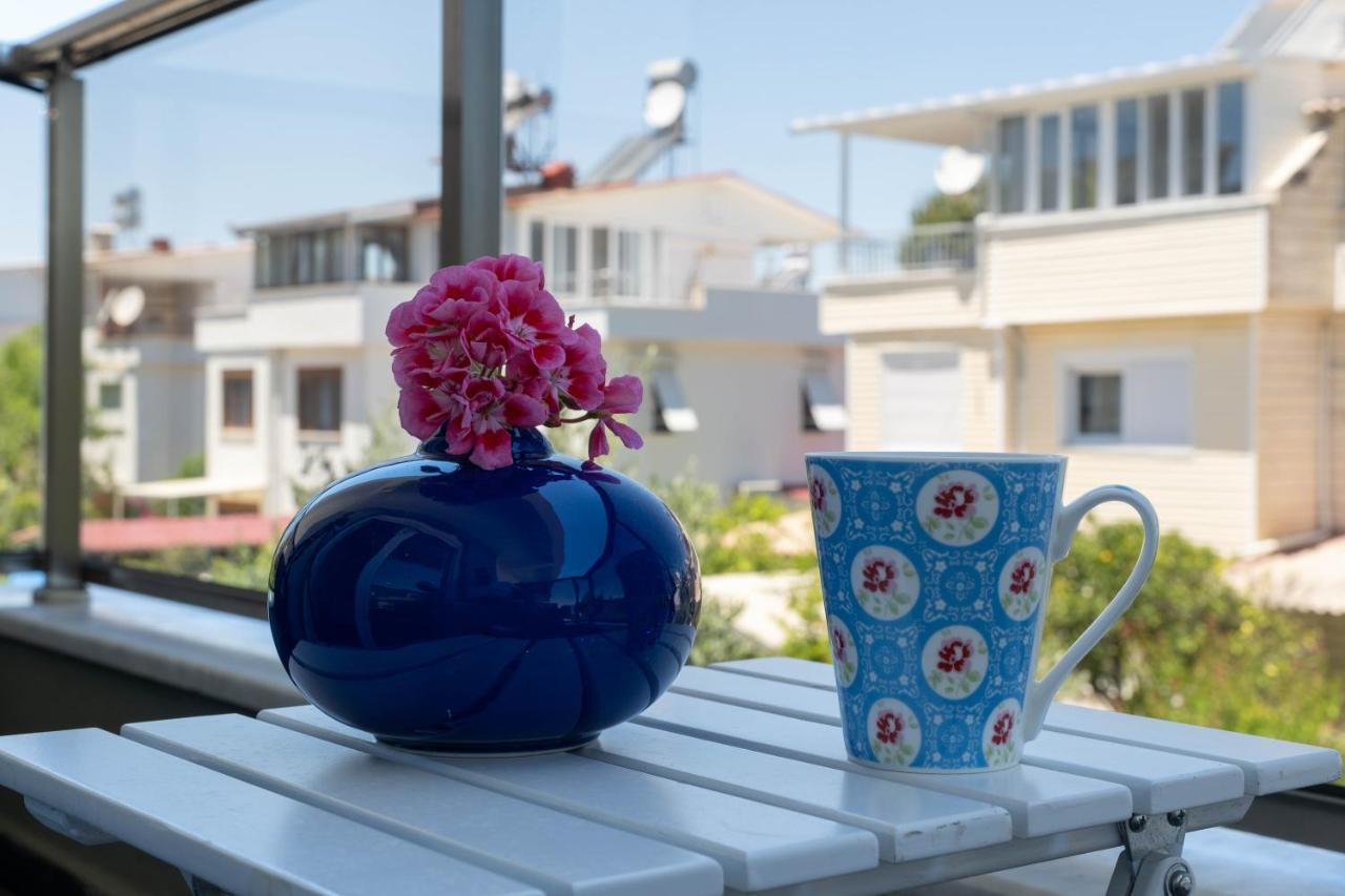 Ev Villa