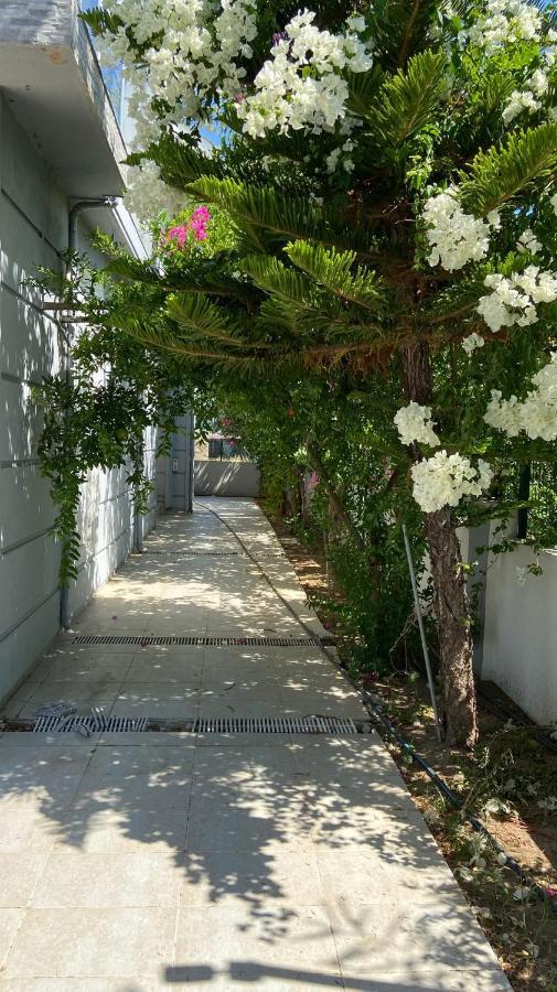 Antalya Mermaid 3 Bedrooms Close The Beac Park Belek