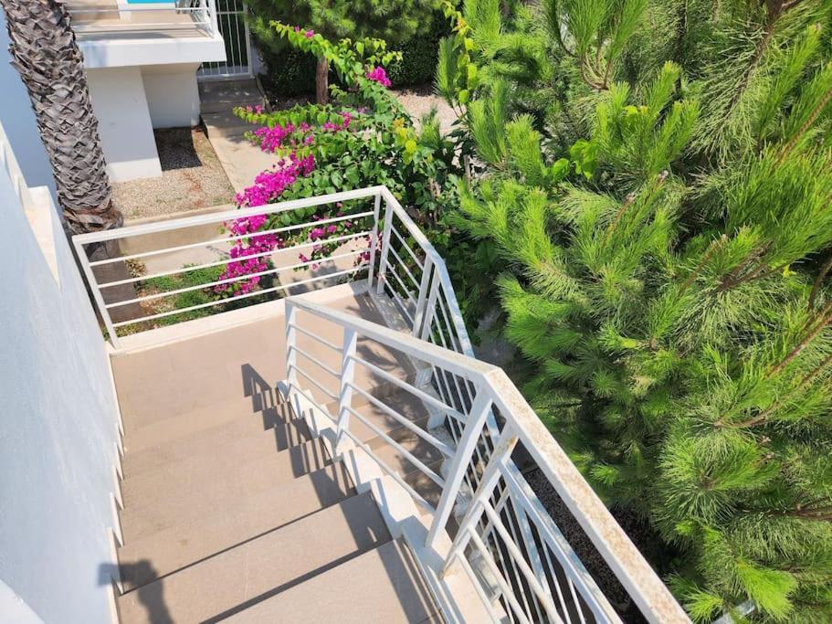 Villa Feronia A11 *
