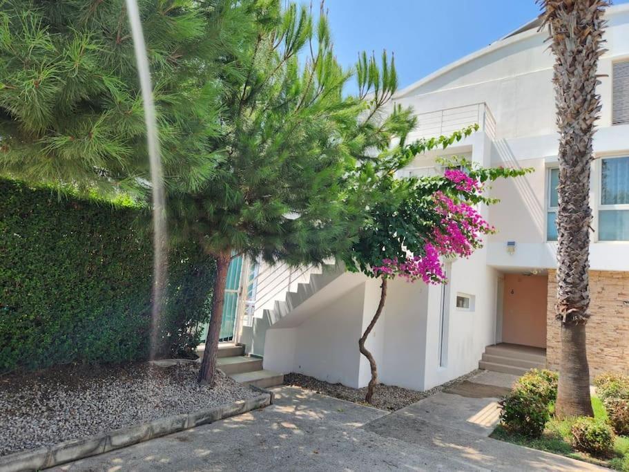 Villa Feronia A11