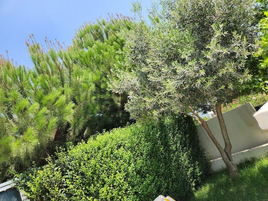 Feronia A11 Villa Belek