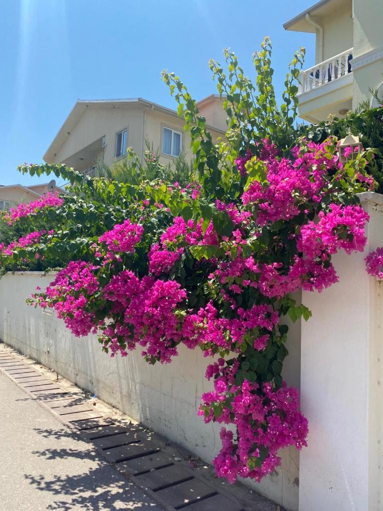 King Cleodora Apartment Belek