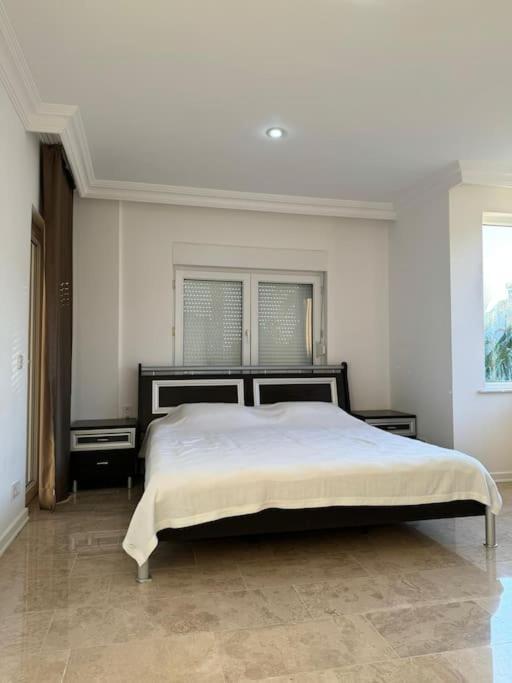 Casa Luna Villa