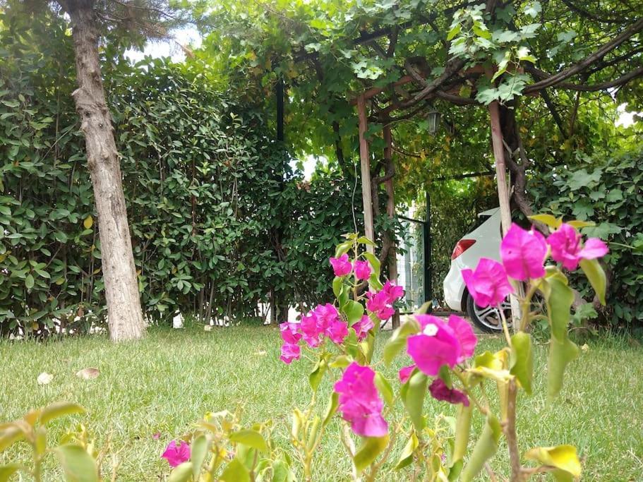 Muestakil, Oezel Havuzlu, Jakuzi Ve Saunali Villa *
