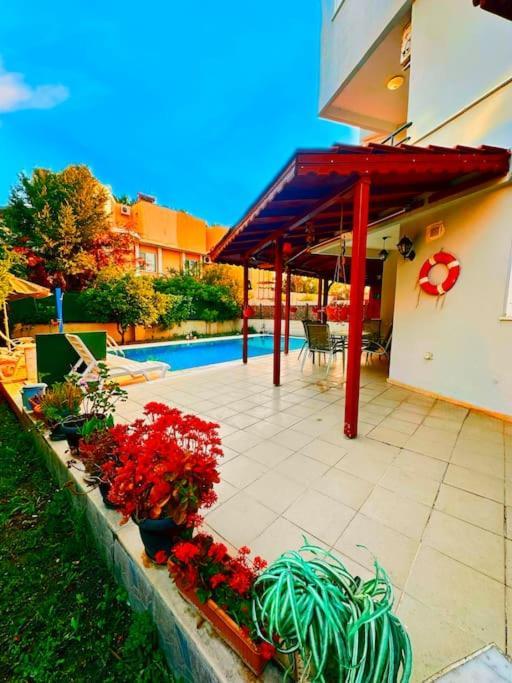 Lion Dreams 1 -swimming Pool Belek