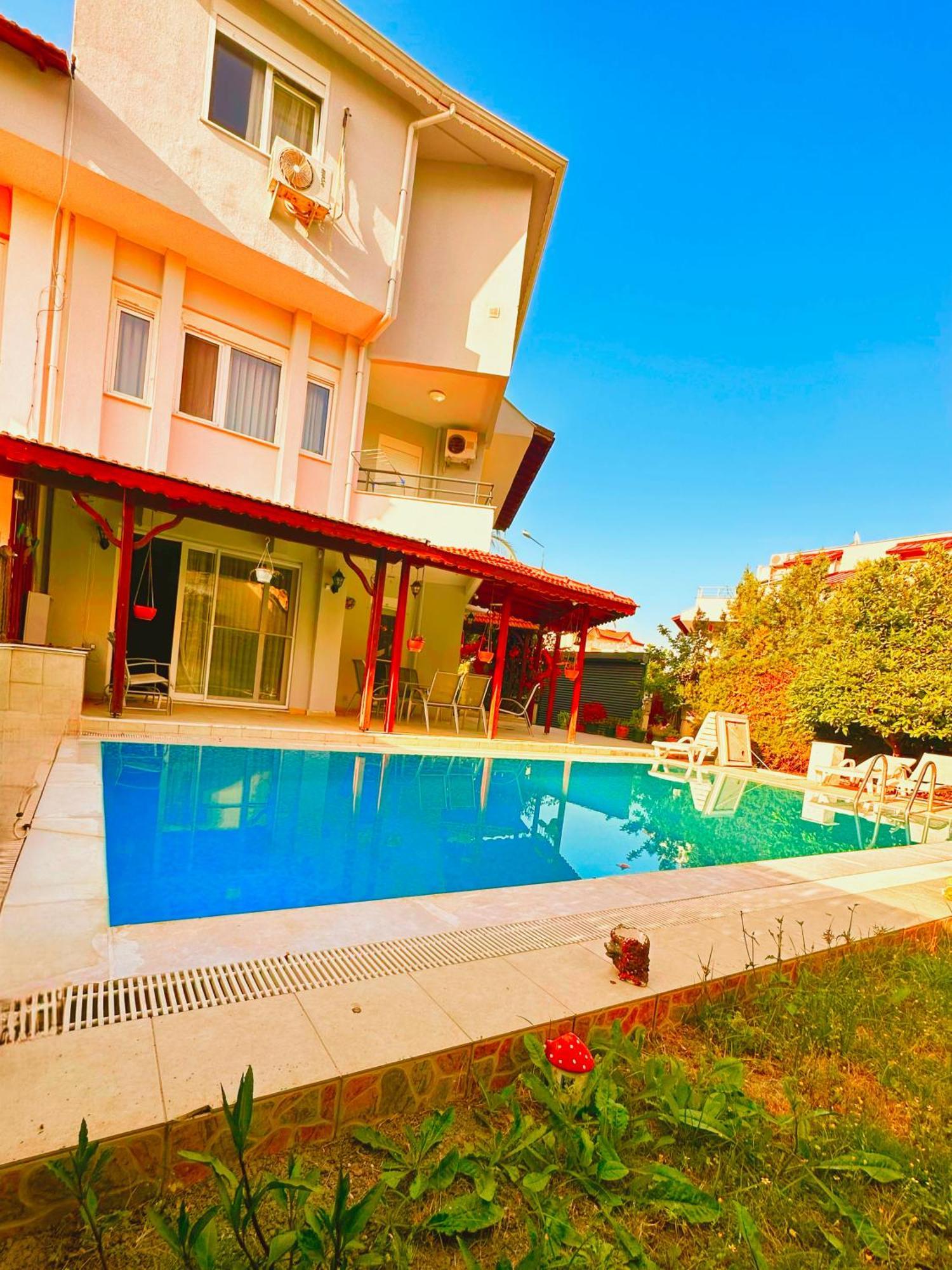 Lion Dreams 1 -swimming Pool Willa