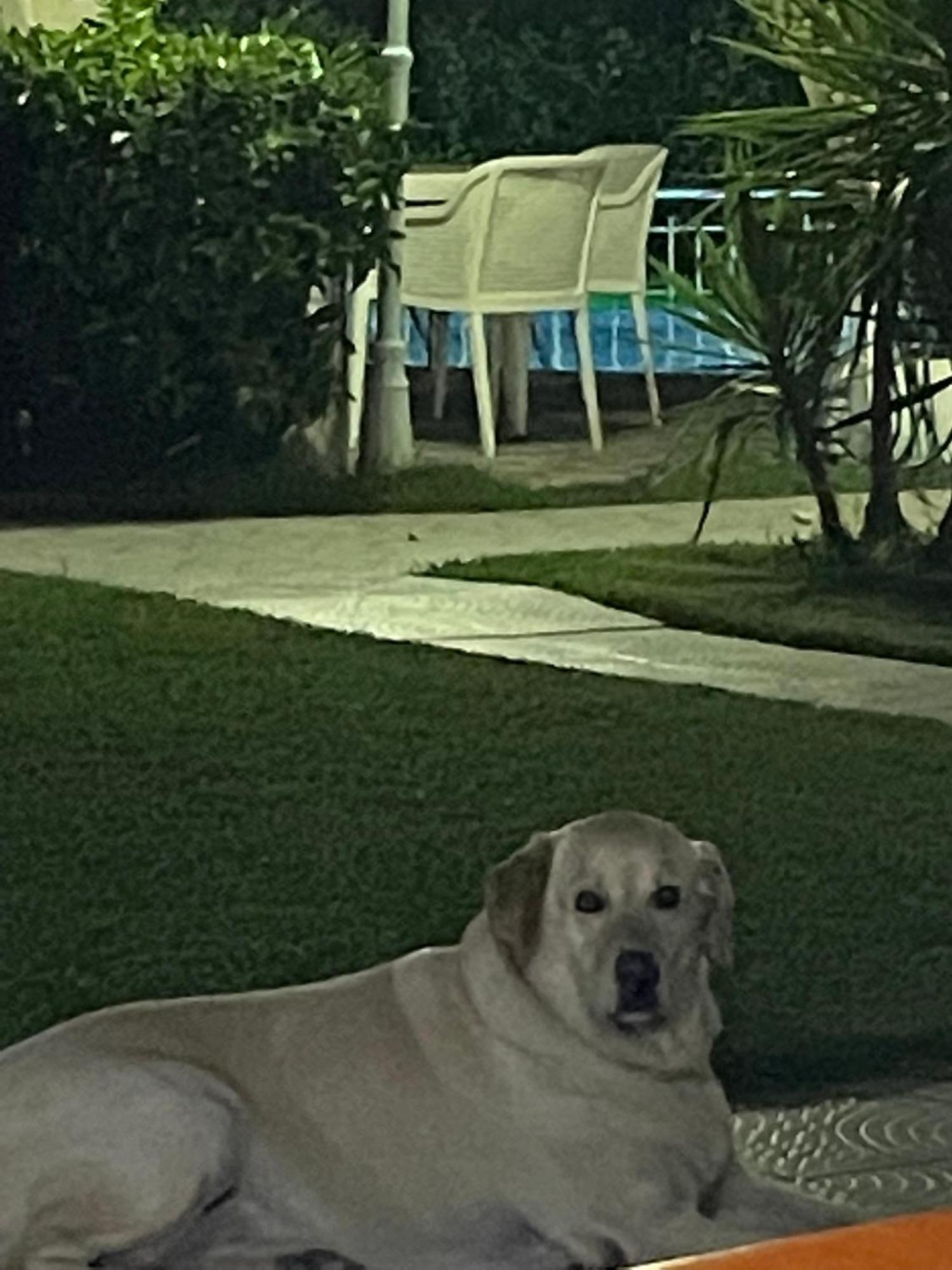 Belka Golf Delux Poolside * Belek