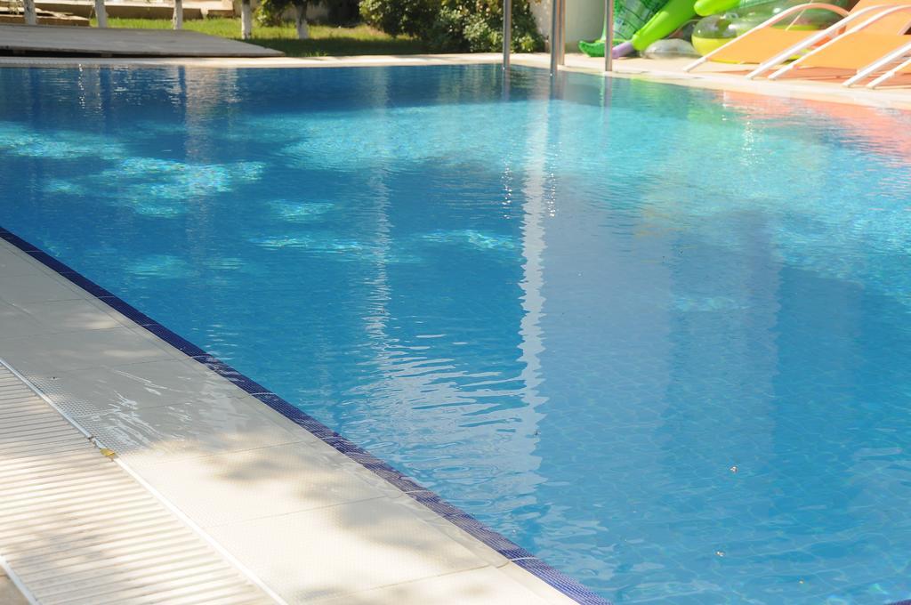 Larissa Villalari Villa