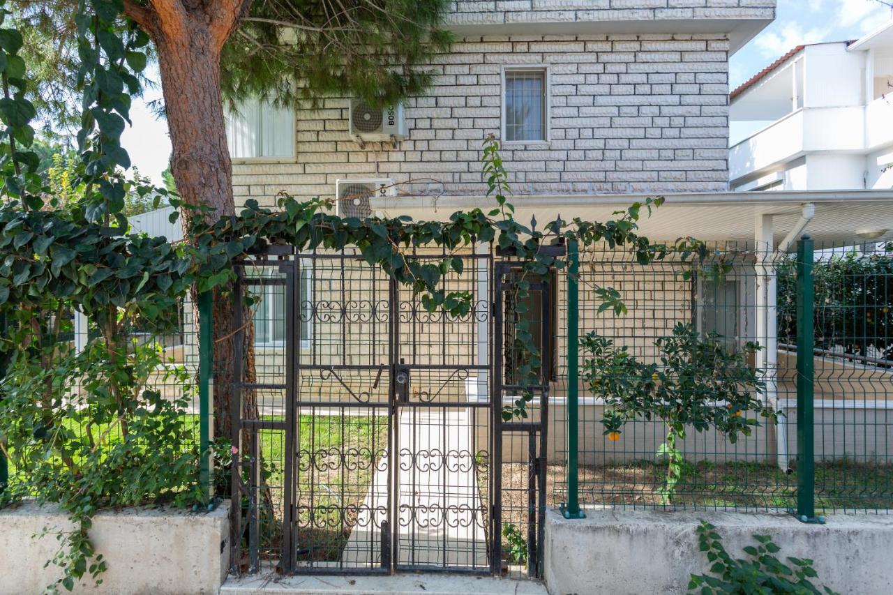 Fadi Family Villa