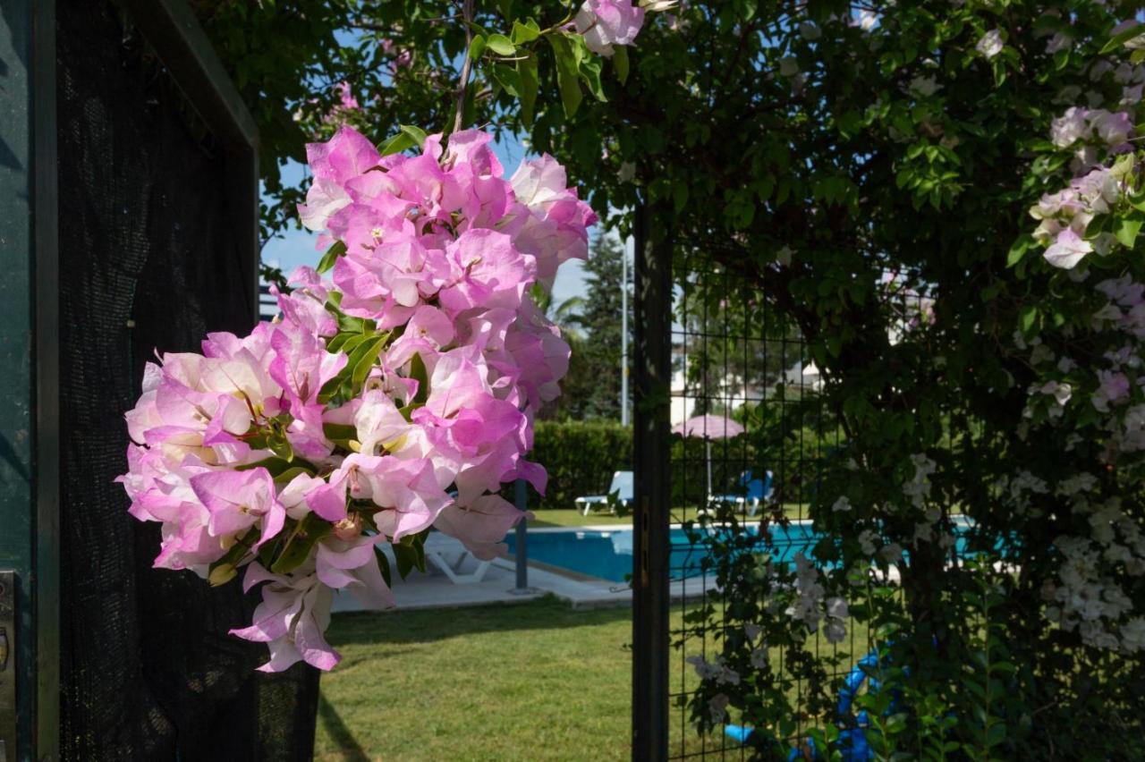 Ev Belek