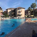 Palm City