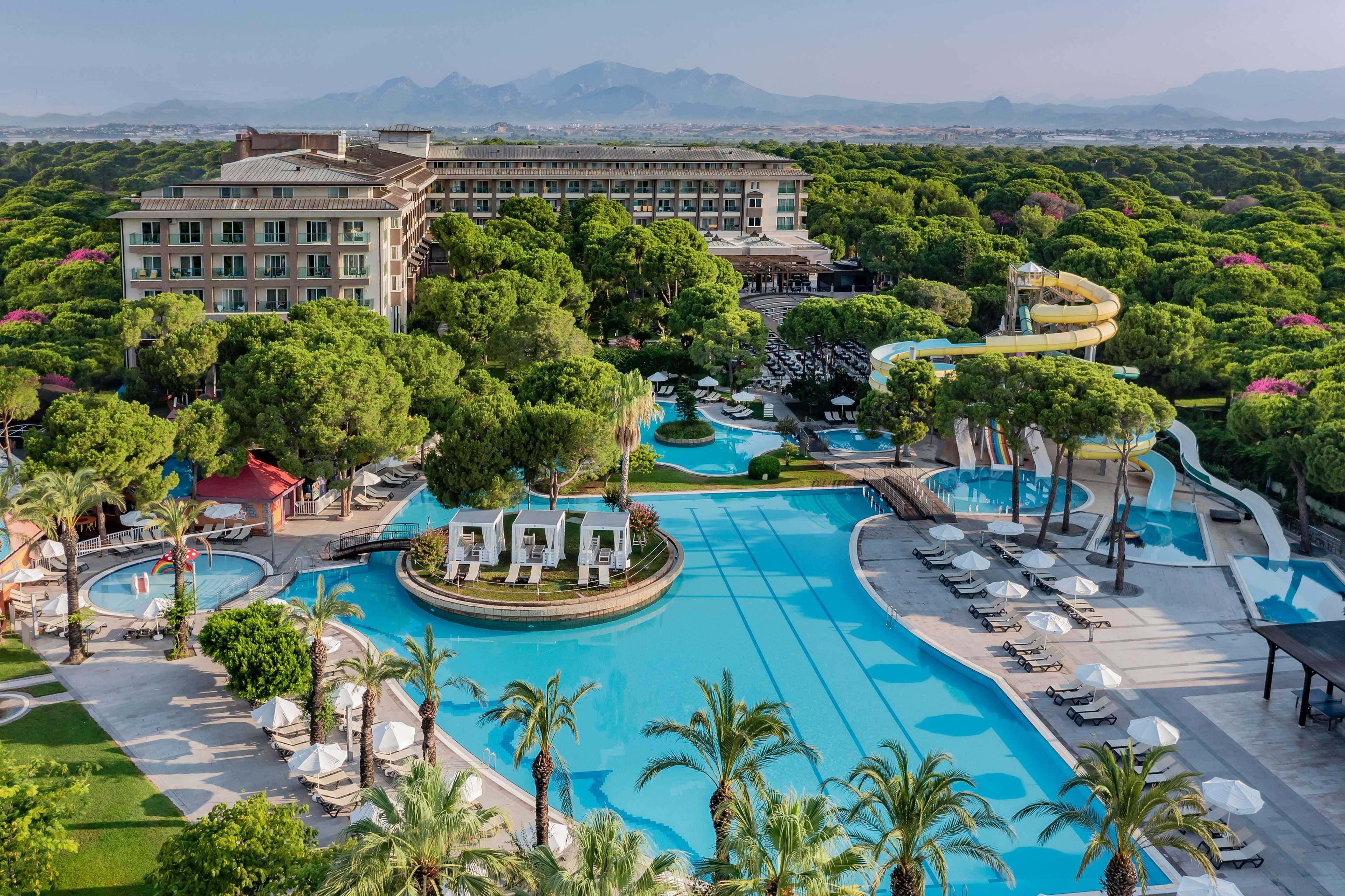 Papillon Ayscha & Belek