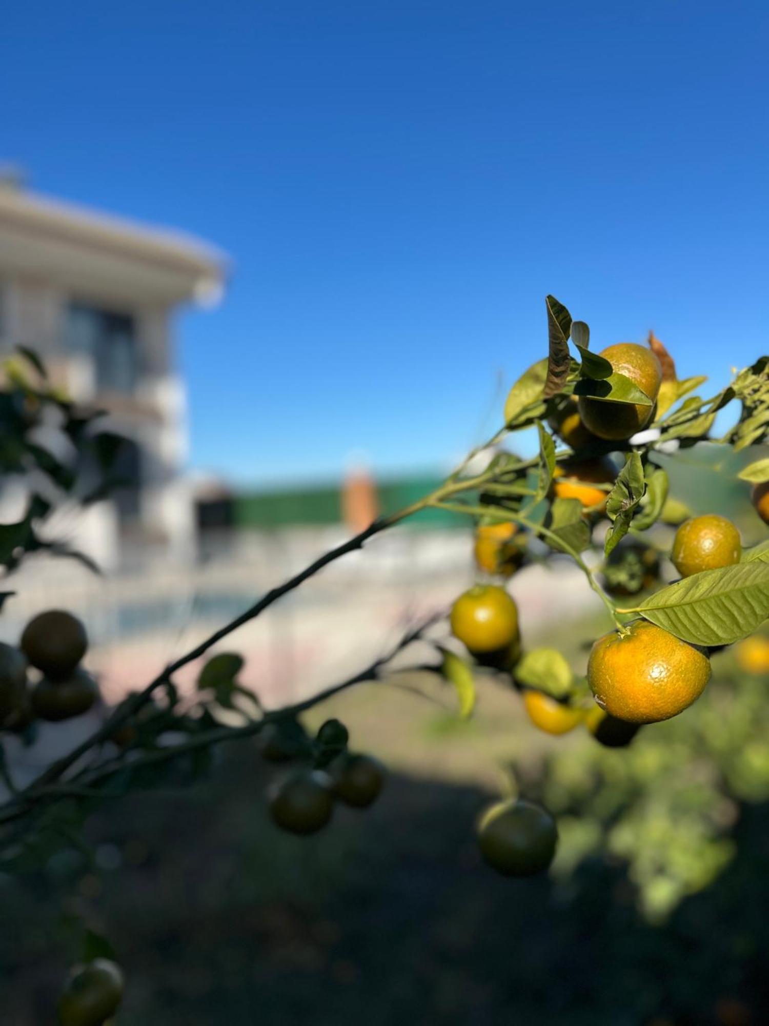 Villa Antalya 5 Odali Oezel Havuzlu *